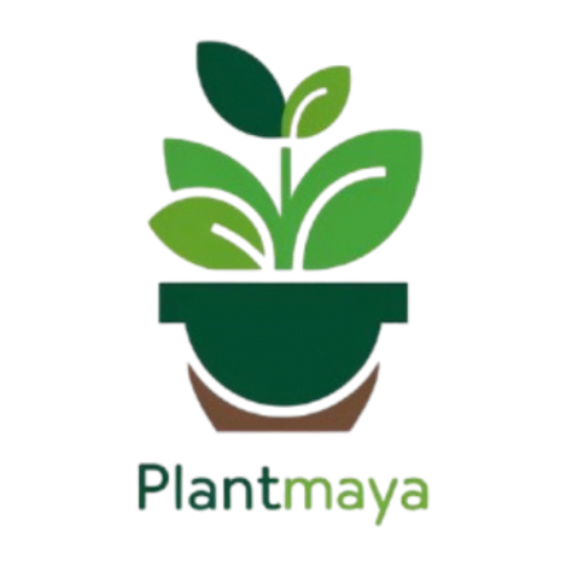 PlantMaya