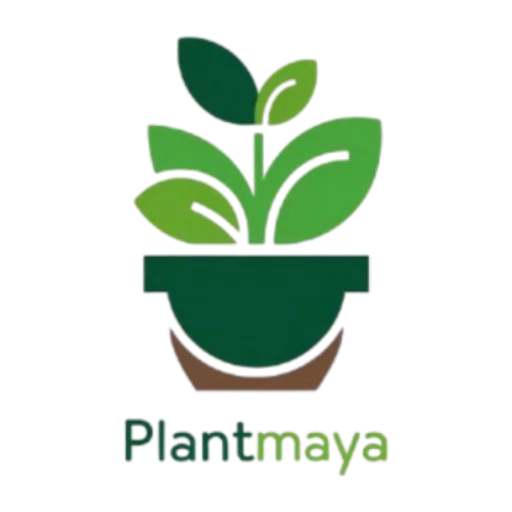 PlantMaya