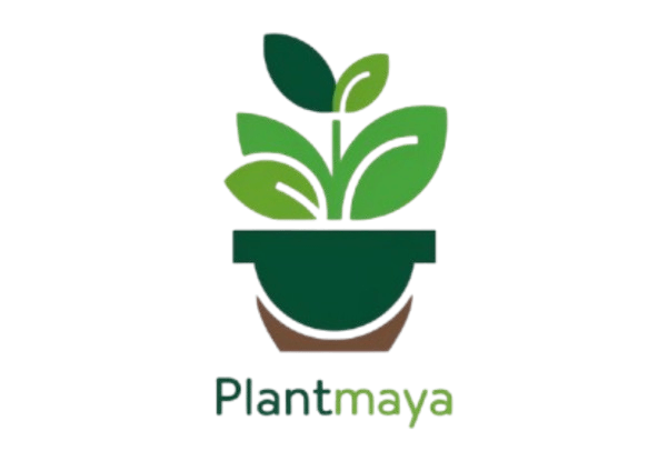 PlantMaya - Indoor Plants Care & Tips