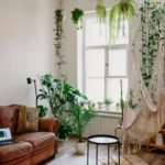 A cozy living room filled with indoor plants in hanging planters, showcasing a stylish arrangement of greenery with macramé and metal plant hangers