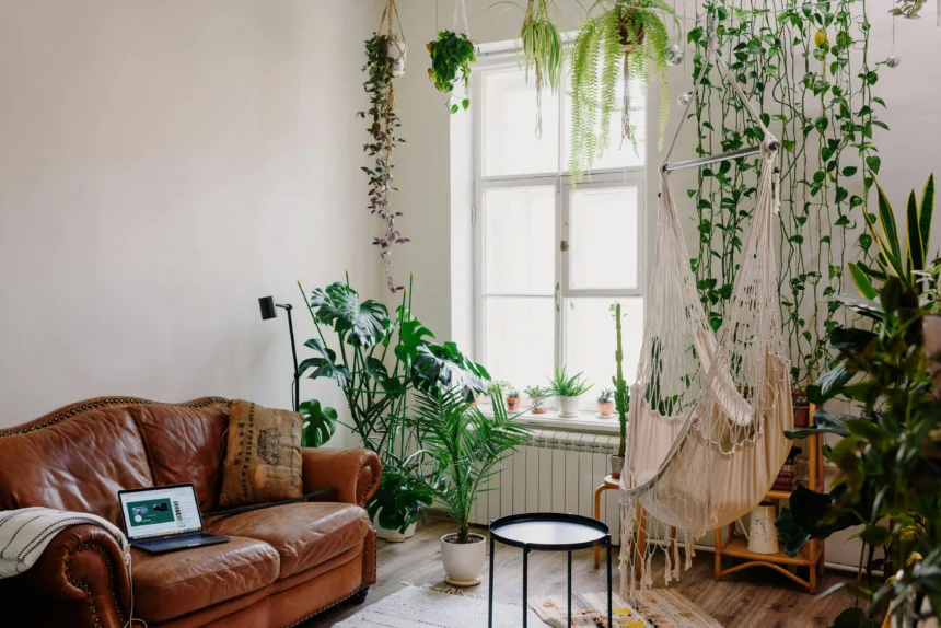 A cozy living room filled with indoor plants in hanging planters, showcasing a stylish arrangement of greenery with macramé and metal plant hangers