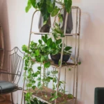 An old metal ladder repurposed as a plant stand holding various houseplants