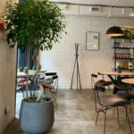 Modern cafe with a potted tree, white brick wall, and minimalist furniture.