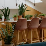 A modern kitchen decorated with various houseplants in terracotta pots, including beginner-friendly plants like snake plants and ZZ plants