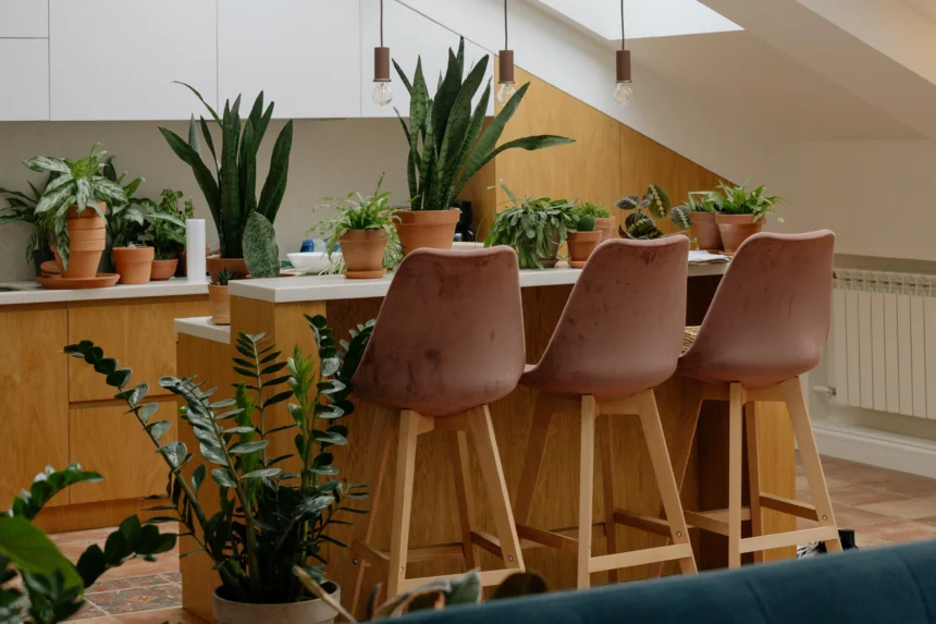 A modern kitchen decorated with various houseplants in terracotta pots, including beginner-friendly plants like snake plants and ZZ plants