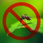 Mosquito on a plant leaf with a red prohibition symbol indicating pest control.