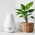 White humidifier next to a green potted plant in a woven basket against a white background