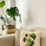 A minimalist living space featuring a beige sofa with a decorative pillow that has a watercolor-style plant illustration, alongside a real monstera plant in a woven basket.